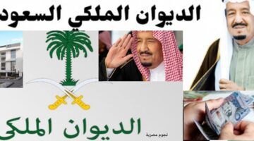 طرق التواصل مع الديوان الملكي السعودي للمساعدات رمضان 1444