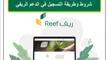 “البيئة” تقدم شروط دعم ريف في السعودية لدعم المزارعين